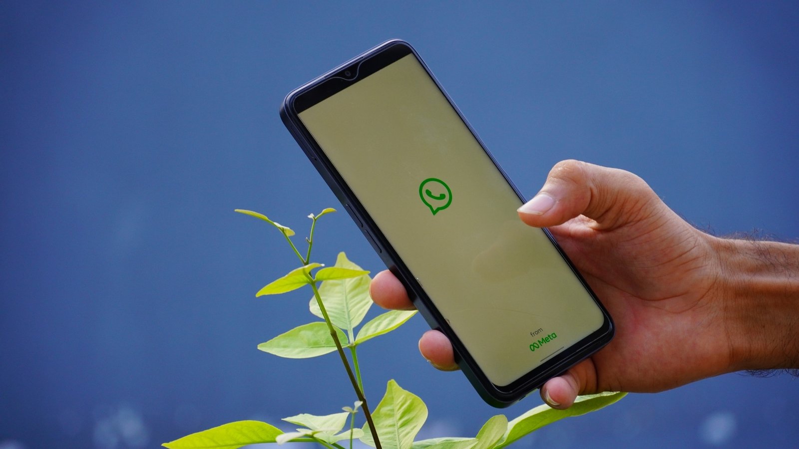 Suporte Pediátrico via WhatsApp: A Tranquilidade de ter sua Médica ao seu Alcance